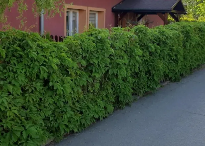 Apartament U Janiny